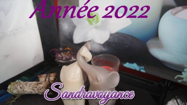 L&rsquo;année 2022 par la numérologie