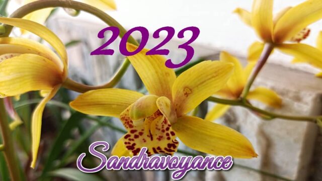 L&rsquo;année 2023 par la numérologie