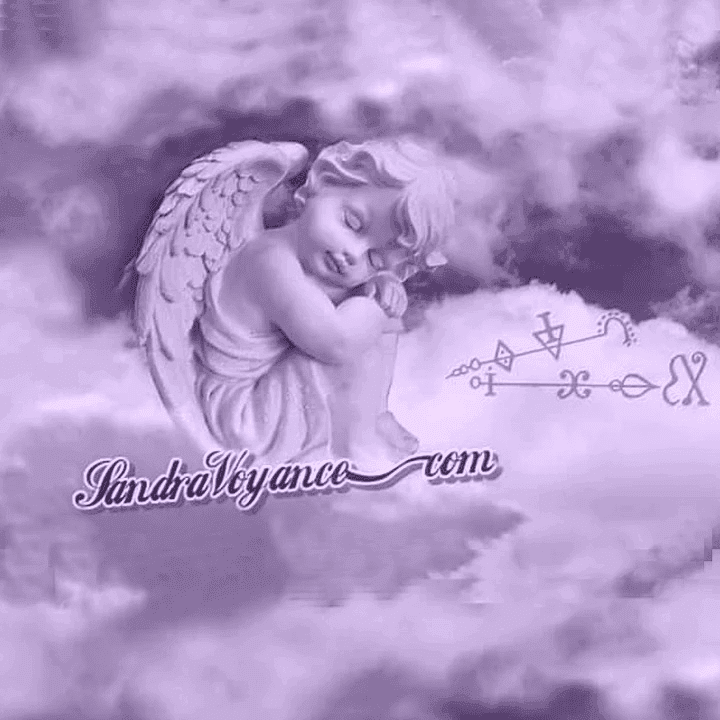 Sandravoyance logo